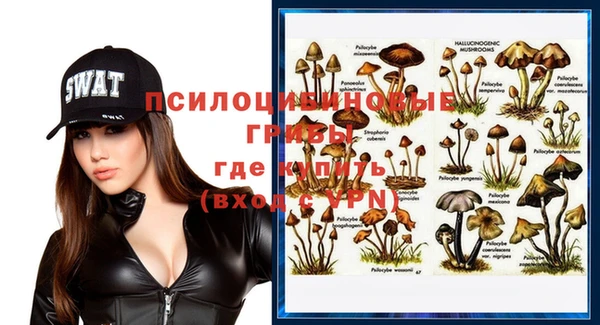 сатива Алзамай