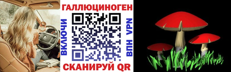 Псилоцибиновые грибы ЛСД  дарнет шоп  Долинск 